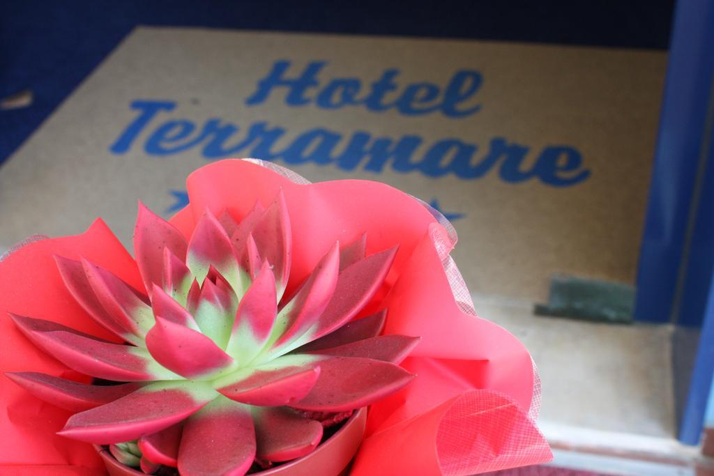 לידו די ג'סולו Hotel Terramare מראה חיצוני תמונה